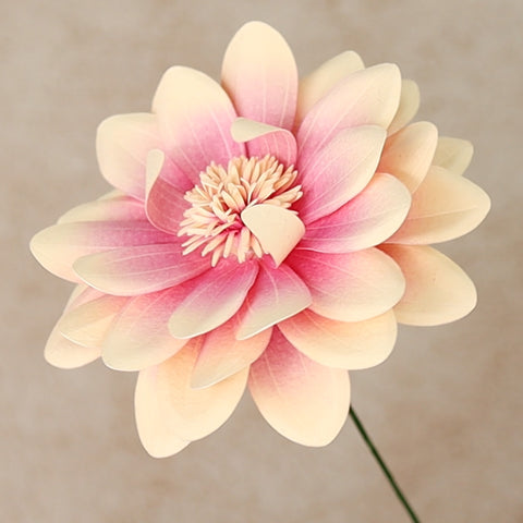 Cream paper dahlia colored in the center with magenta panpastel