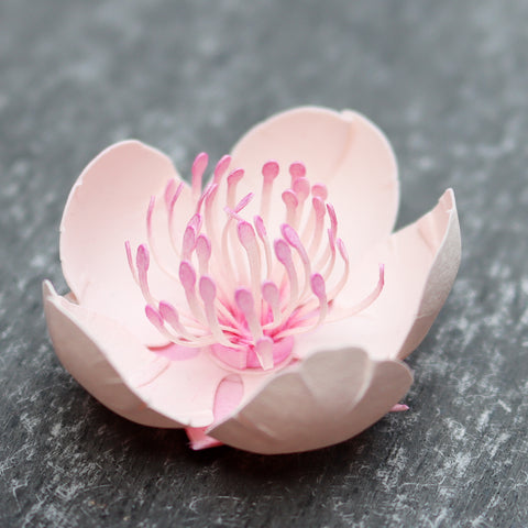Cherry Blossom Paper Flower SVG | Digital File for Cricut & Silhouette