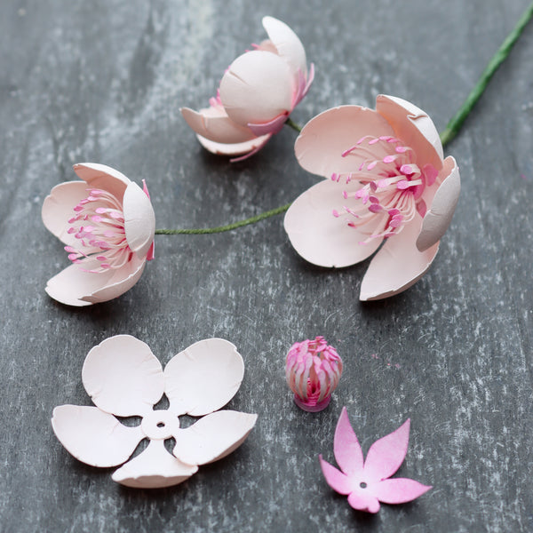 Cherry Blossom Paper Flower SVG | Digital File for Cricut & Silhouette