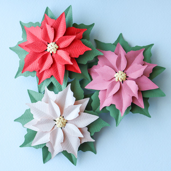 Red, dark pink, and blush pink paper poinsettia.
