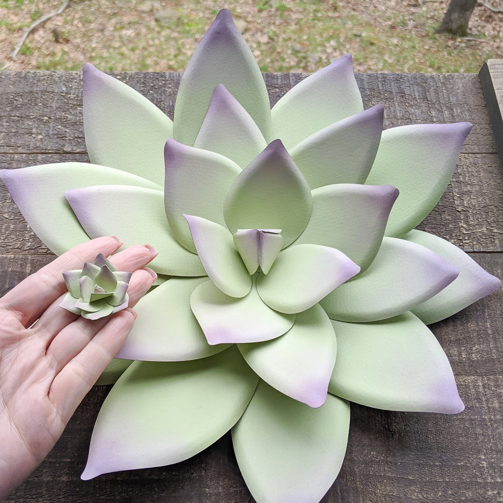 pointy succulent Pointy Succulent in 3 Sizes SVG PDF Digital File for Cricut & Silhouet – Windblown Ideas