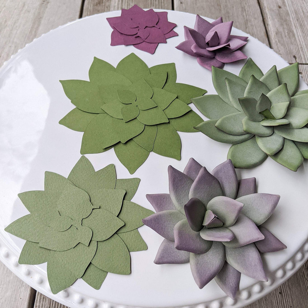 succulents svg Pointy Succulent in 3 Sizes SVG PDF Digital File for Cricut & Silhouet – Windblown Ideas