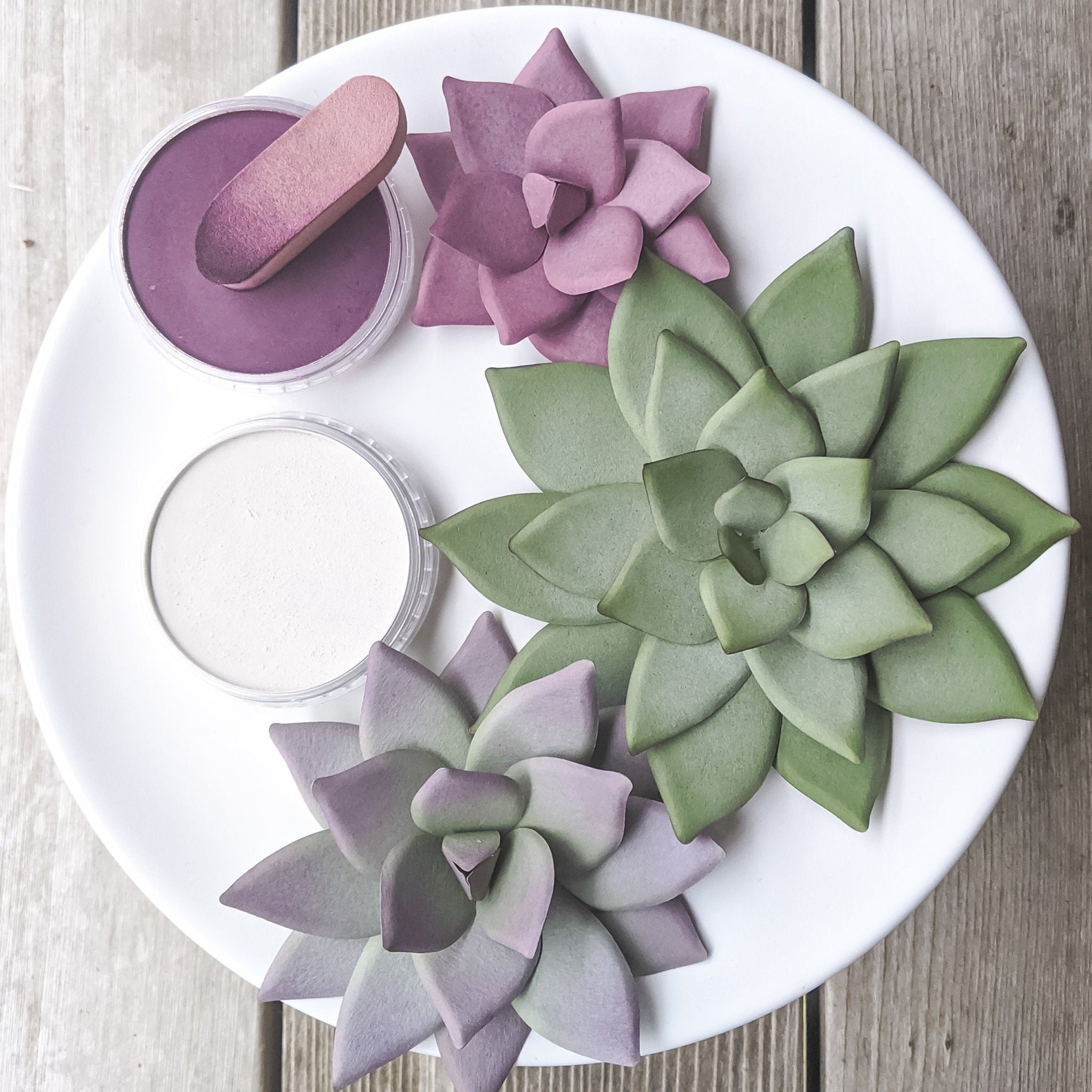 cricut succulents Pointy Succulent in 3 Sizes SVG PDF Digital File for Cricut & Silhouet – Windblown Ideas