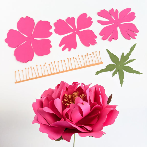 Shrub Rose and Fluffy Peony Paper Flower Combo | SVG PDF Files for Cricut & Silhouette