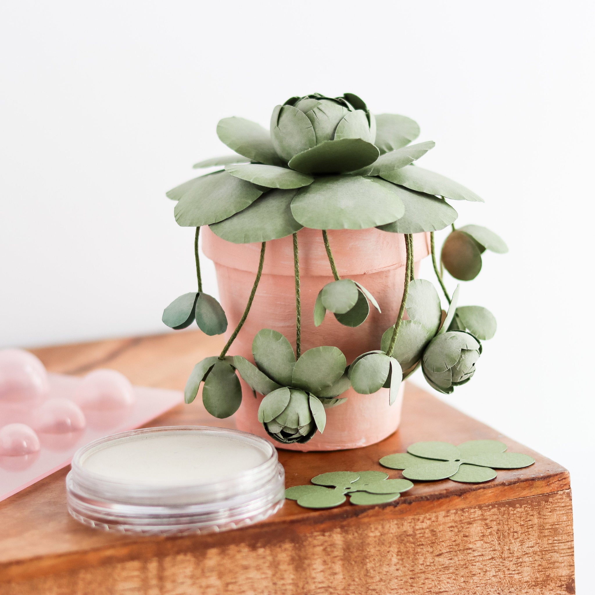 chinese dunce cap succulent for sale Chinese Dunce Cap + Round Rosette Succulent Paper Flower SVG