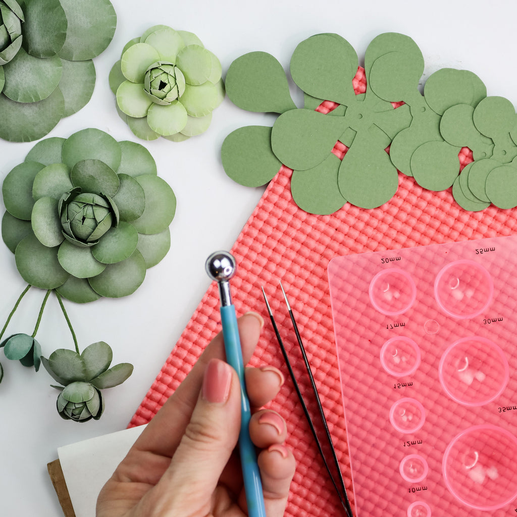 cricut succulent pattern Chinese Dunce Cap + Round Rosette Succulent Paper Flower SVG